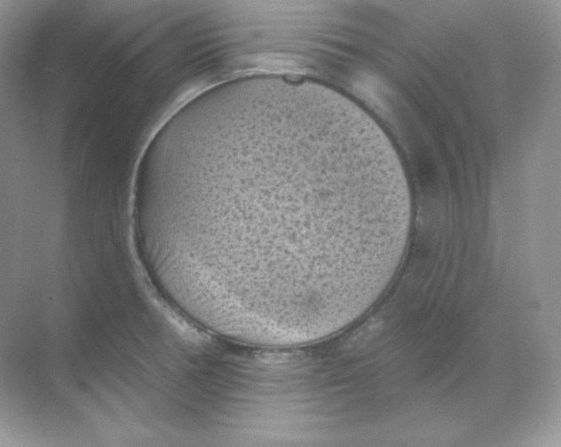 X0000068741378200605192334