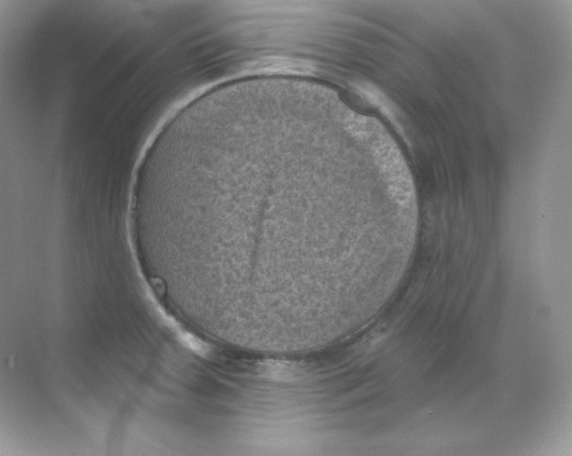 X0000068741379200605192334