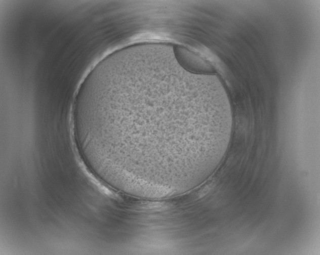 X0000068741382200605192334