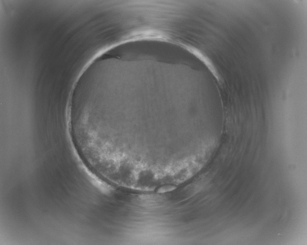 X0000068741383200605192334