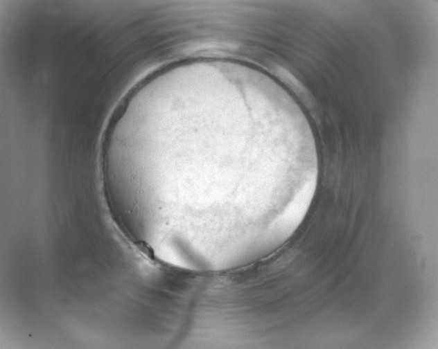 X0000068741384200605192334