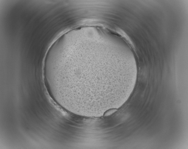 X0000068741386200605192334