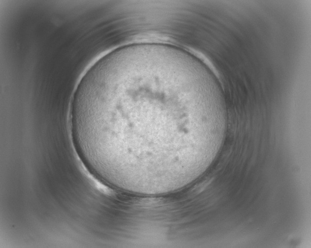 X0000068741387200605192334