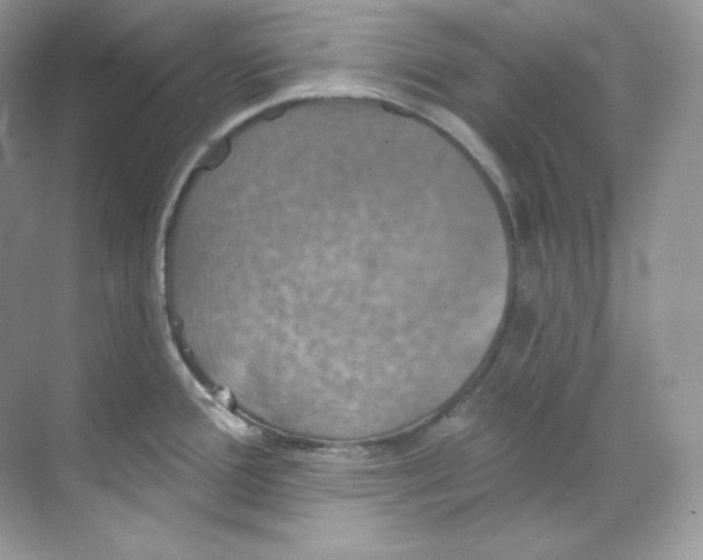 X0000068741388200605192334