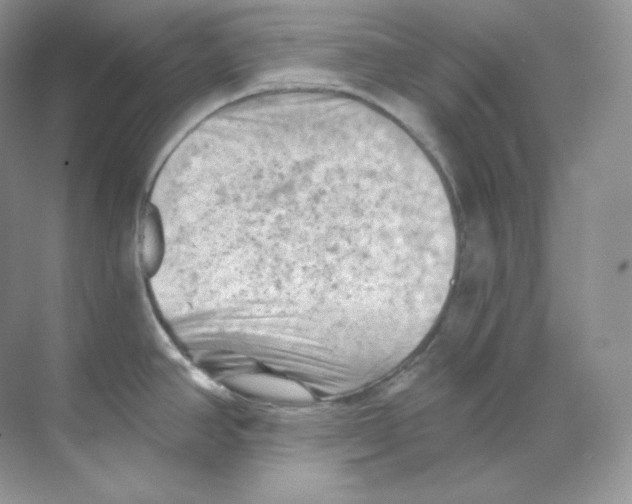 X0000068741390200605192334