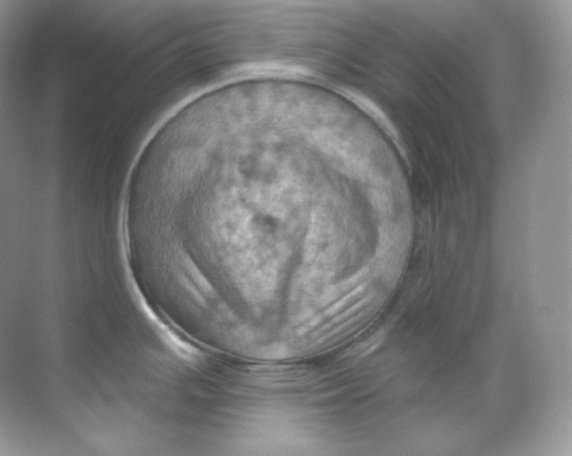 X0000068741391200605192334