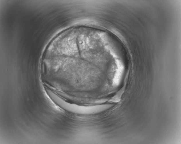 X0000068741392200605192334