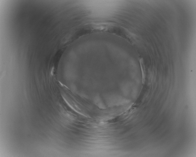 X0000068741394200605192333