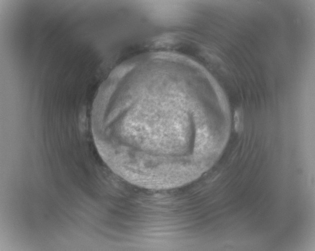 X0000068741395200605192333