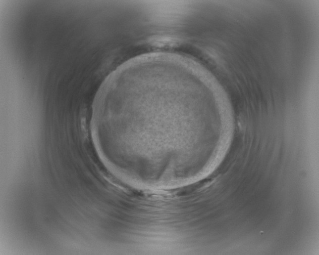 X0000068741396200605192333