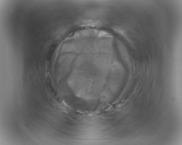 X0000068741399200605192333