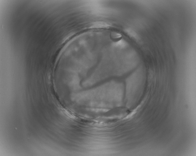 X0000068741401200605192333