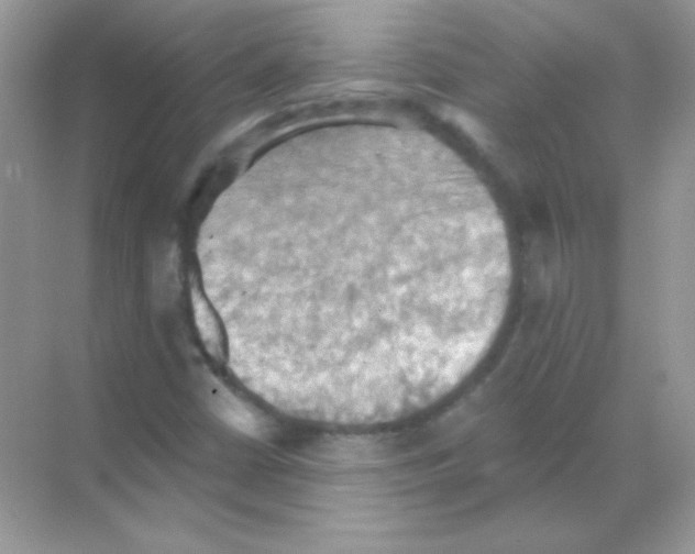 X0000068741402200605192333