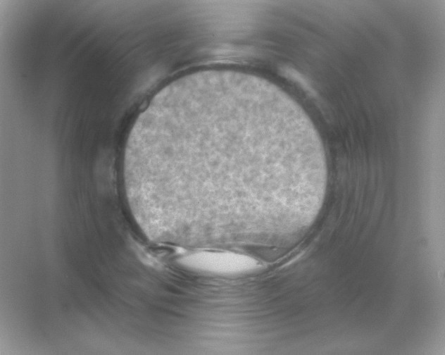 X0000068741403200605192333