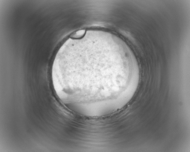 X0000068741404200605192333