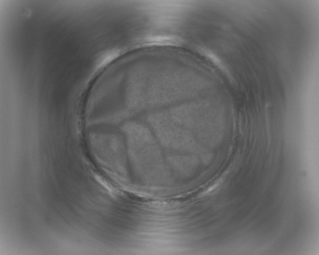 X0000068741405200605192333