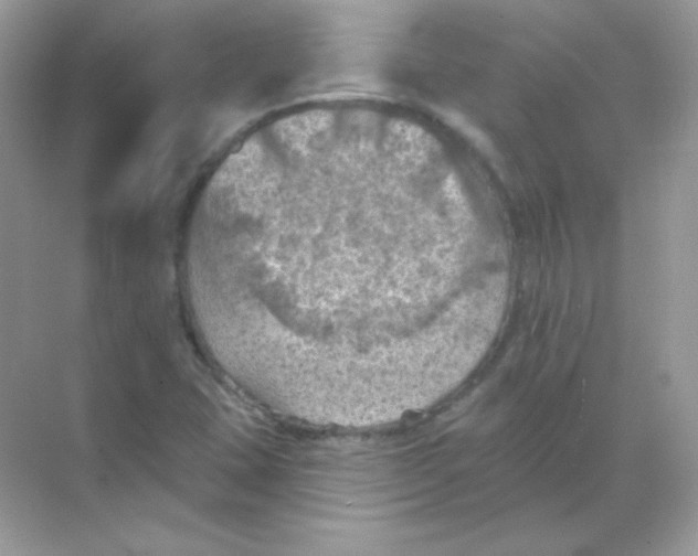 X0000068741407200605192333