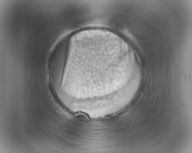 X0000068741408200605192333