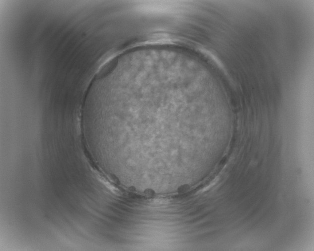 X0000068741409200605192333