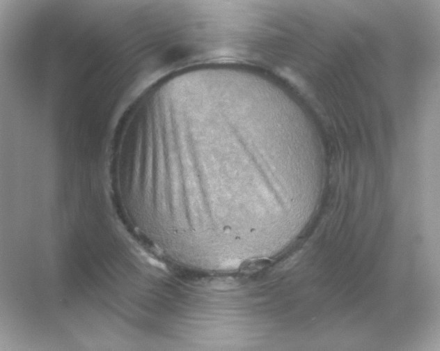 X0000068741410200605192333