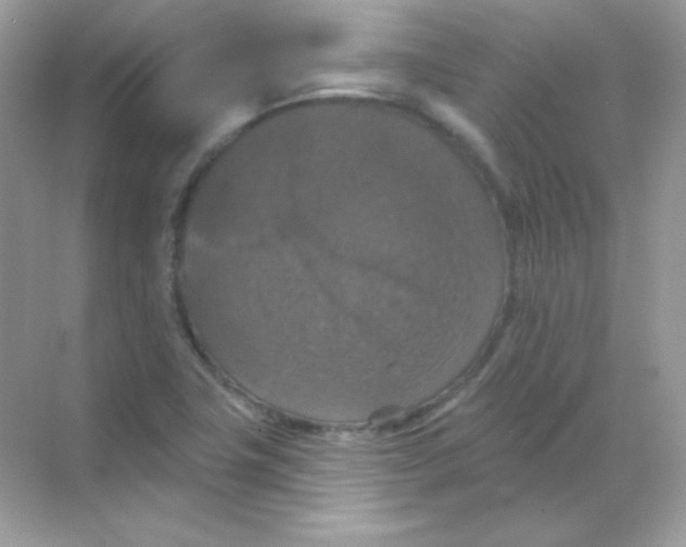 X0000068741411200605192333