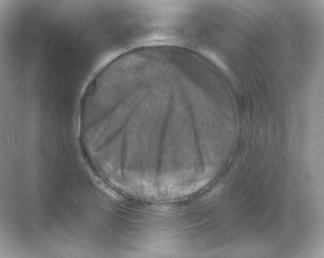 X0000068741413200605192333