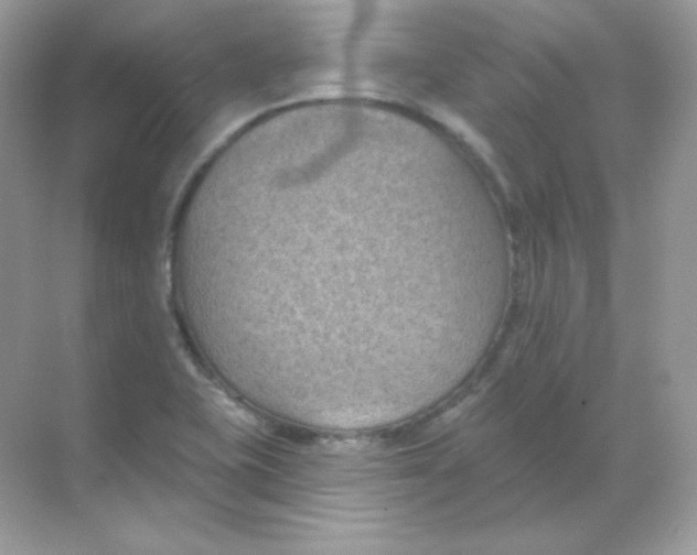 X0000068741415200605192333