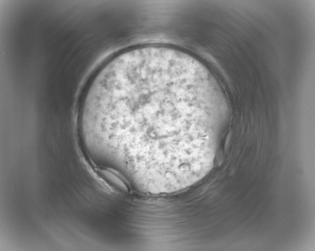 X0000068741416200605192333