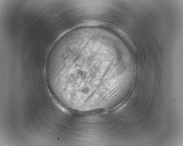 X0000068741417200605192333