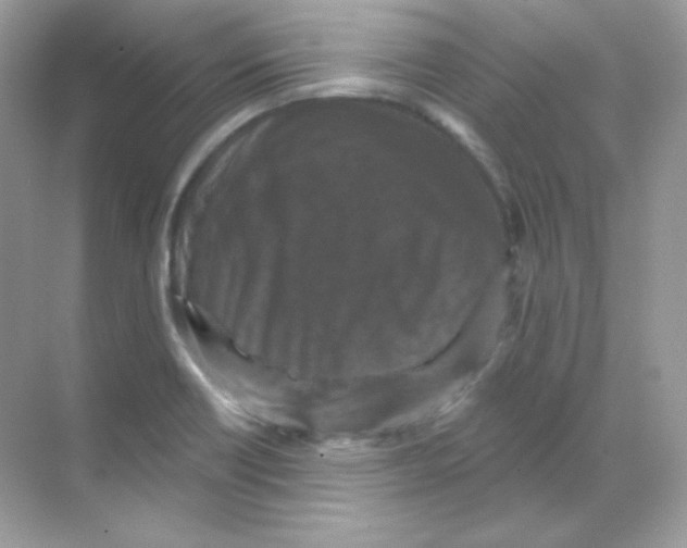 X0000068741418200605192333