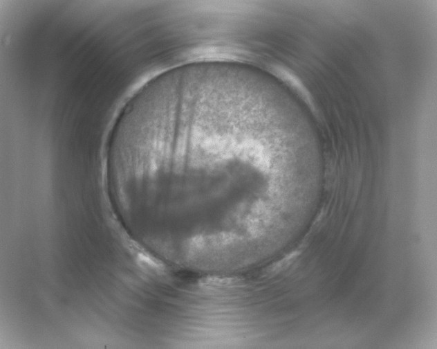 X0000068741419200605192333