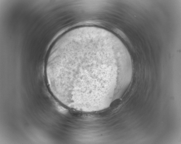 X0000068741420200605192333