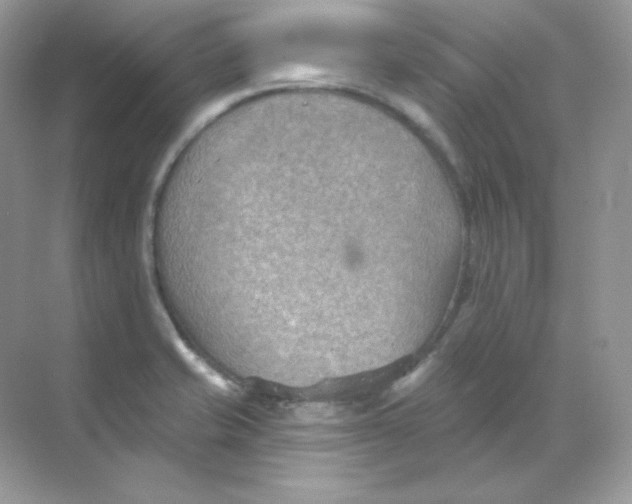 X0000068741421200605192333