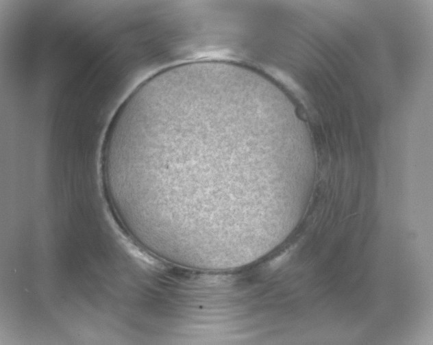 X0000068741423200605192333