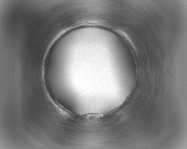 X0000068741424200605192333