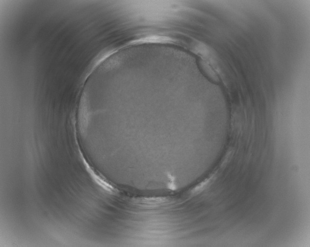 X0000068741425200605192333