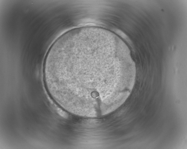 X0000068741431200605192333