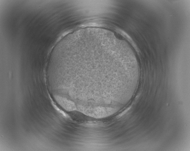 X0000068741433200605192333