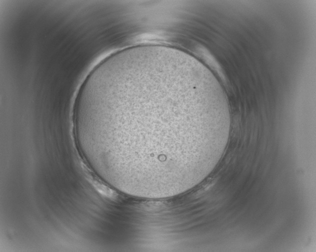 X0000068741435200605192333