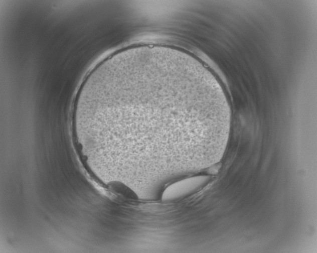 X0000068741437200605192333