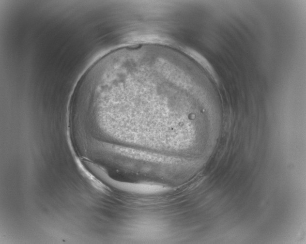 X0000068741439200605192333