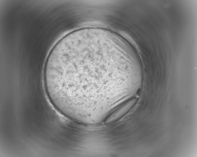 X0000068741440200605192334