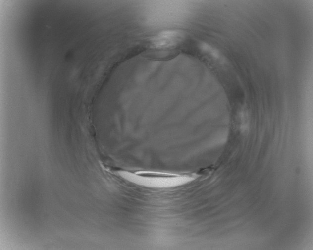 X0000068741441200605192333