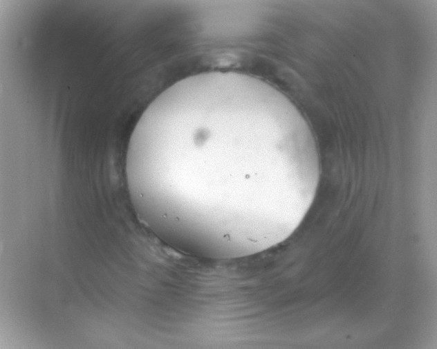 X0000068741442200605192333