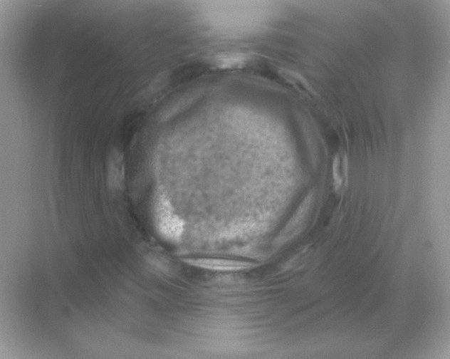 X0000068741443200605192333