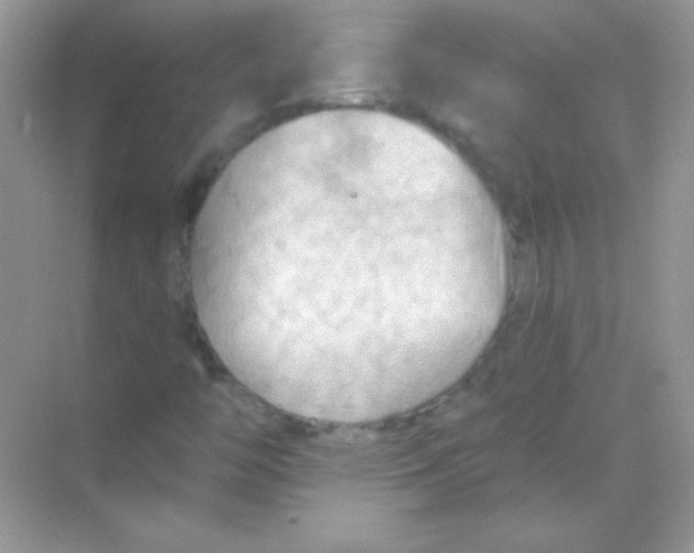 X0000068741446200605192333