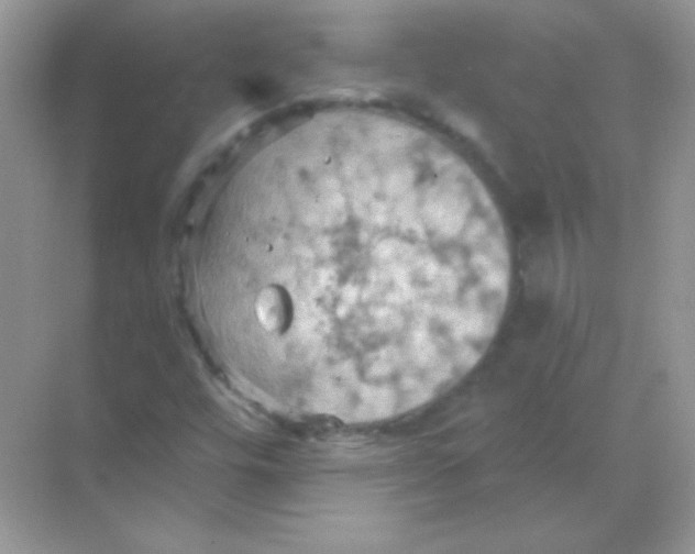 X0000068741448200605192333