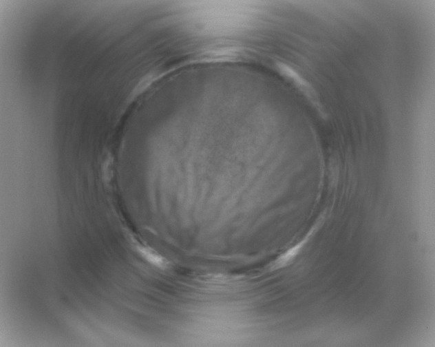 X0000068741449200605192333