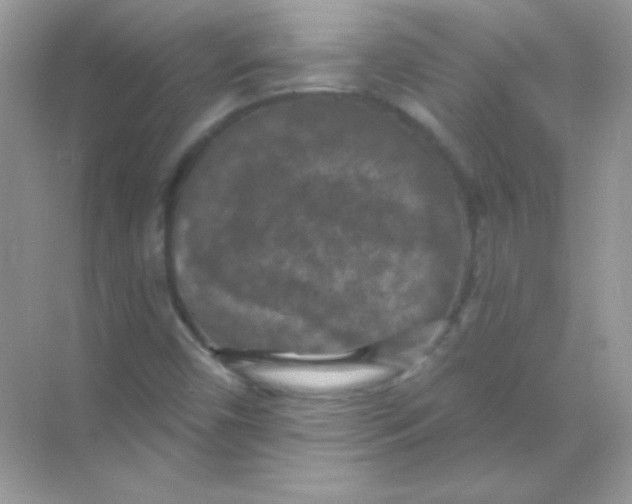 X0000068741450200605192333