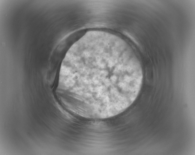 X0000068741452200605192333